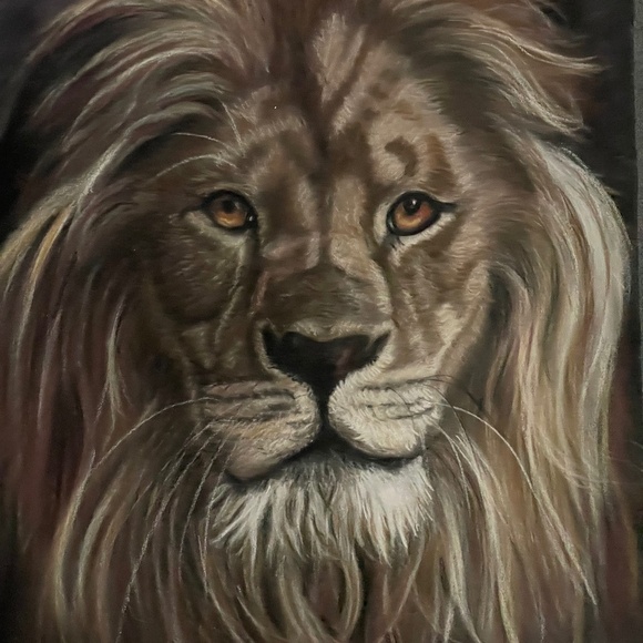 Original Soft Pastel painting of Lion - Picture 1 of 2